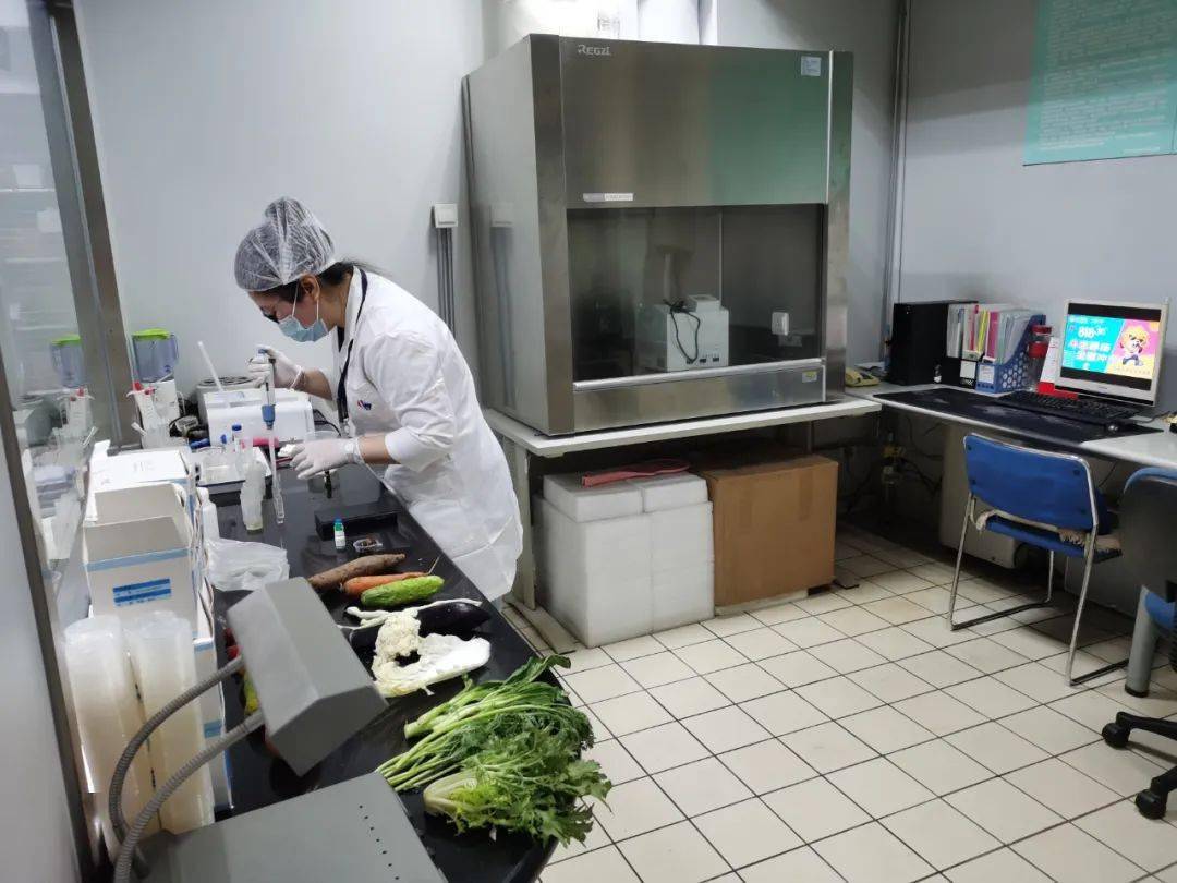 惠城食品检测实验室装修方案